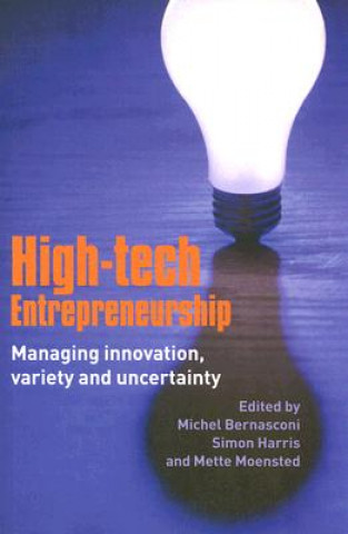 Kniha High-Tech Entrepreneurship Michel Bernasconi