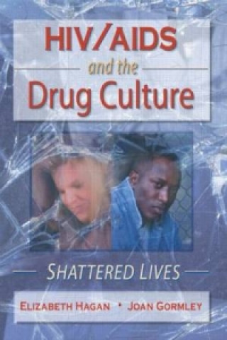 Könyv HIV/AIDS and the Drug Culture Joan Gormley