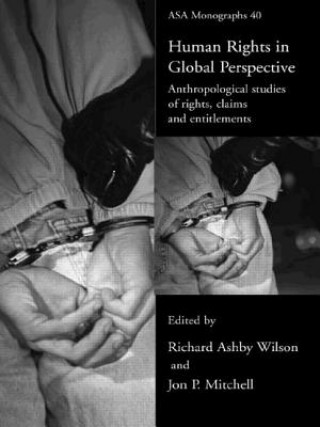 Kniha Human Rights in Global Perspective Jon P. Mitchell