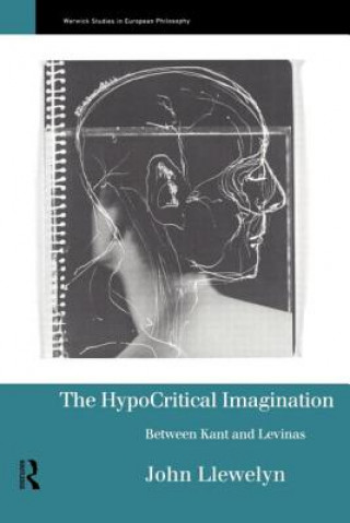 Knjiga Hypocritical Imagination John Llewellyn