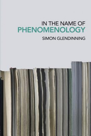 Knjiga In the Name of Phenomenology Simon Glendinning