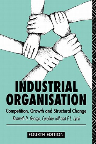 Könyv Industrial Organization Lynk