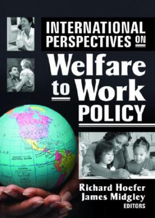 Книга International Perspectives on Welfare to Work Policy 