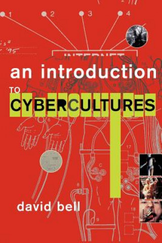 Kniha Introduction to Cybercultures David Bell