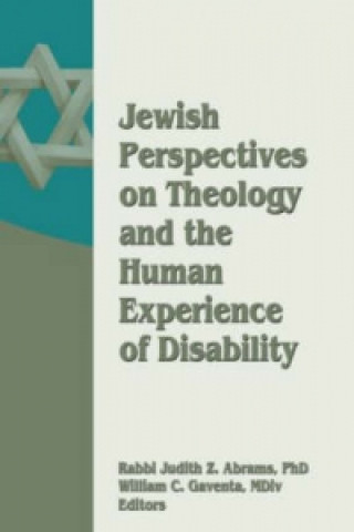 Książka Jewish Perspectives on Theology and the Human Experience of Disability Judith Z. Abrams