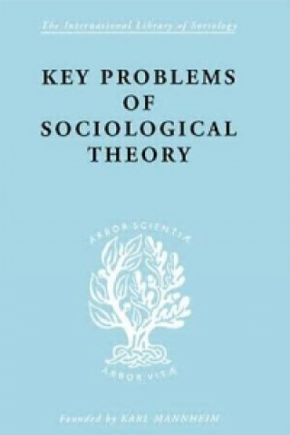 Książka Key Problems of Sociological Theory John Rex