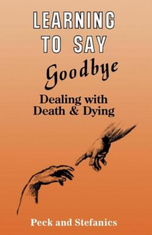 Kniha Learning To Say Goodbye Charlotte Stefanics