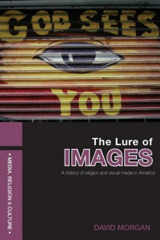 Book Lure of Images David Morgan