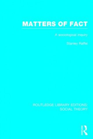 Kniha Matters of Fact (RLE Social Theory) Stanley Raffel