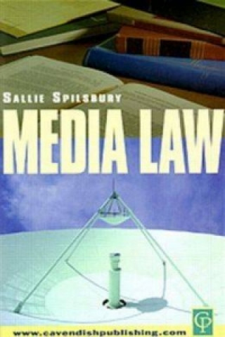 Kniha Media Law 