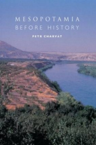 Livre Mesopotamia Before History Petr Charvát