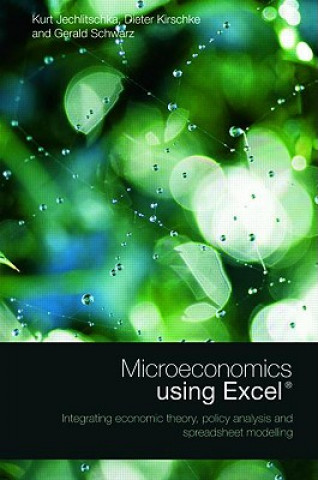 Kniha Microeconomics using Excel Gerald Schwarz