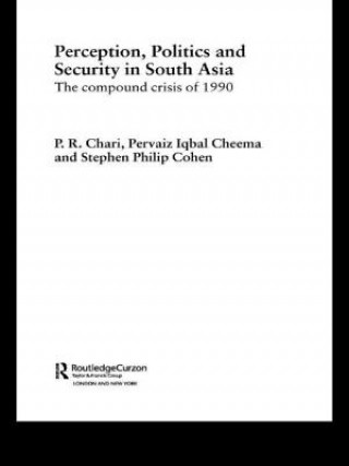 Kniha Perception, Politics and Security in South Asia Stephen Philip Cohen