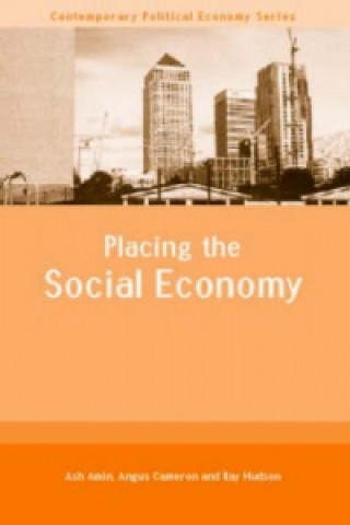 Книга Placing the Social Economy Ray Hudson