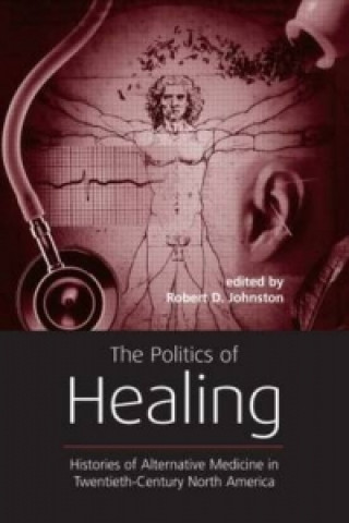 Kniha Politics of Healing Robert D. Johnston