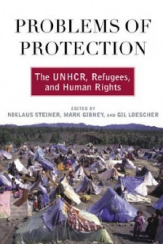Knjiga Problems of Protection Niklaus Steiner