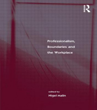 Könyv Professionalism, Boundaries and the Workplace 