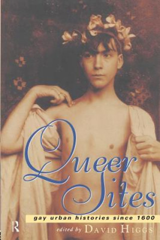Book Queer Sites David Higgs