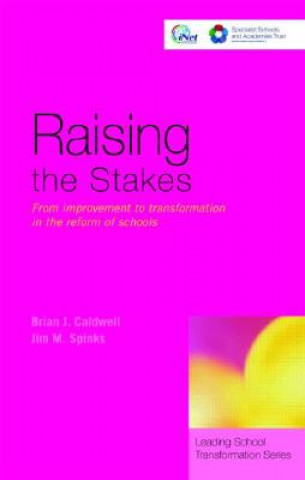 Könyv Raising the Stakes Jim M. Spinks