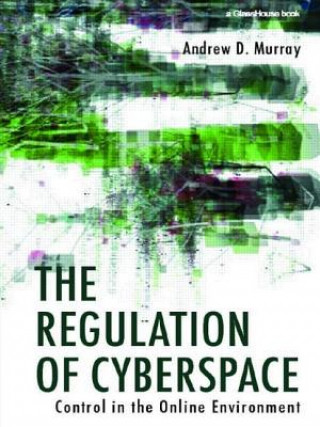Kniha Regulation of Cyberspace Andrew Murray