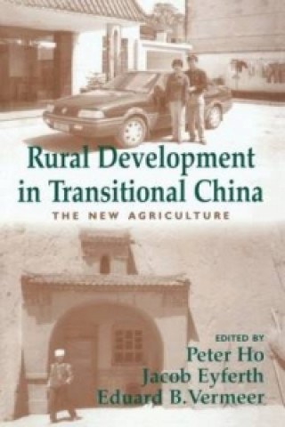 Könyv Rural Development in Transitional China 