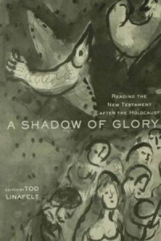 Book Shadow of Glory Tod Linafelt