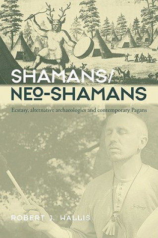 Könyv Shamans/Neo-Shamans Robert J. Wallis