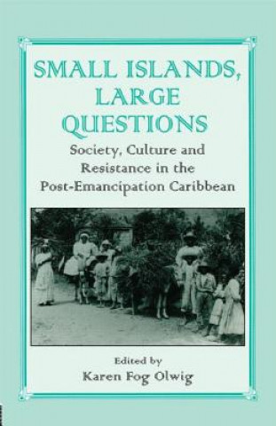 Livre Small Islands, Large Questions Karen Olwig