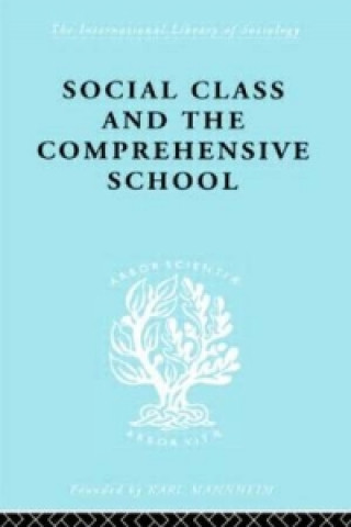 Książka Social Class and the Comprehensive School Julienne Ford