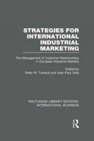 Książka Strategies for International Industrial Marketing (RLE International Business) 