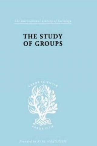 Livre Study of Groups Josephine Klein