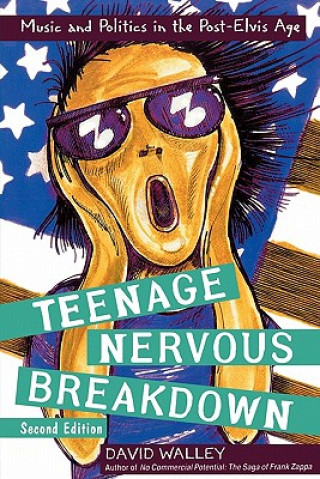 Kniha Teenage Nervous Breakdown David Walley