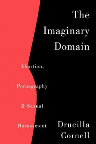 Kniha Imaginary Domain Drucilla Cornell