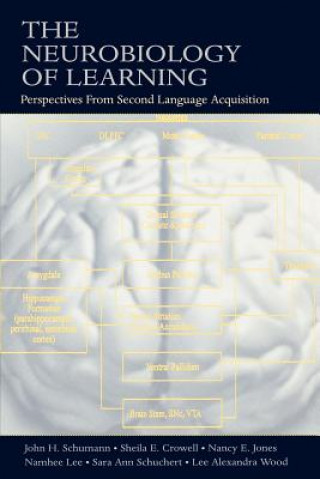 Livre Neurobiology of Learning Sara Ann Schuchert