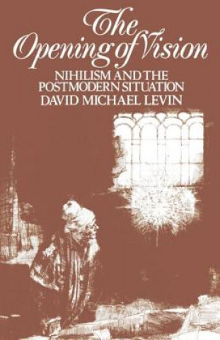 Kniha Opening of Vision David Michael Levin