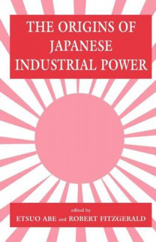 Kniha Origins of Japanese Industrial Power Etsuo Abe