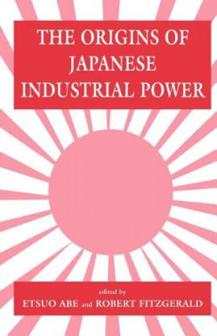 Livre Origins of Japanese Industrial Power Etsuo Abe