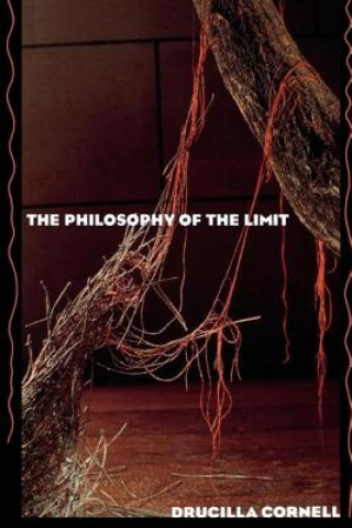 Książka Philosophy of the Limit Drucilla Cornell