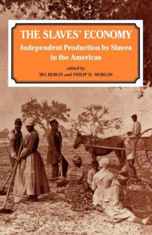 Buch Slaves' Economy Philip D. Morgan