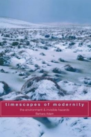 Kniha Timescapes of Modernity Barbara Adam