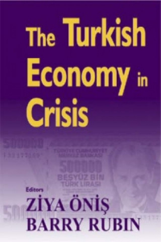 Книга Turkish Economy in Crisis Barry Rubin