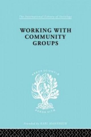 Kniha Working Comm Groups    Ils 198 George W. Goetschius