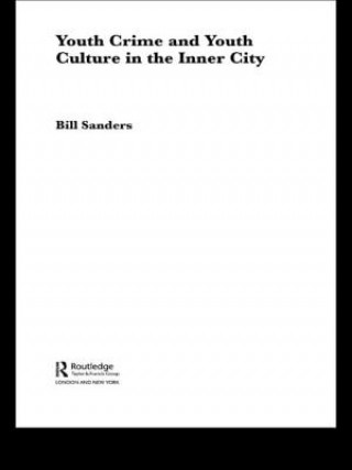 Buch Youth Crime and Youth Culture in the Inner City Bill Sanders