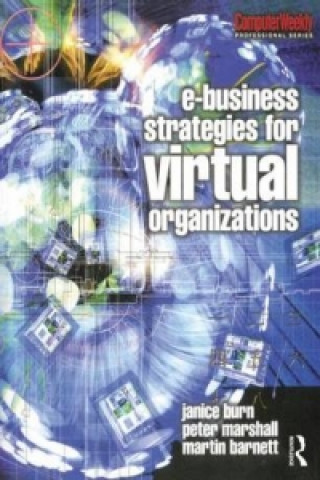 Book e-Business Strategies for Virtual Organizations Martin Barnett