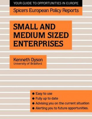 Książka Small and Medium Sized Enterprises Kenneth H.F. Dyson