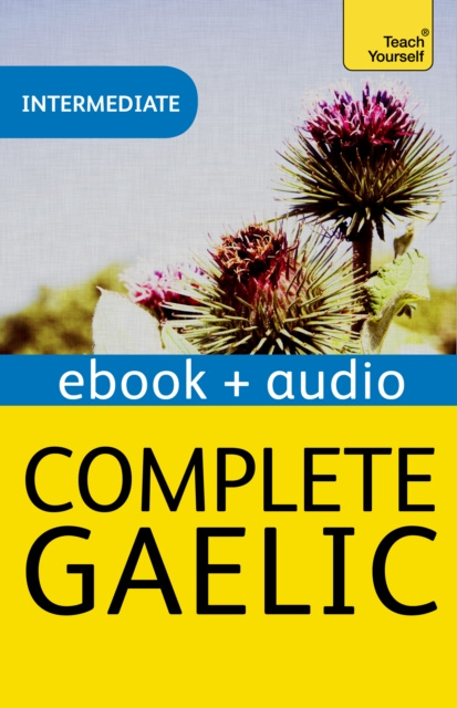 E-kniha Complete Gaelic Beginner to Intermediate Book and Audio Course ROBERTSON  BOYD