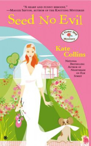 Kniha SEED NO EVIL Kate Collins
