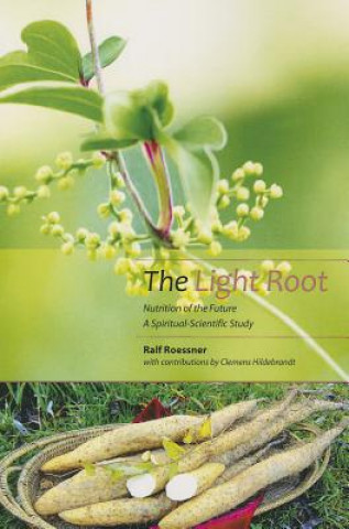 Könyv Light Root Clemens Hildebrandt