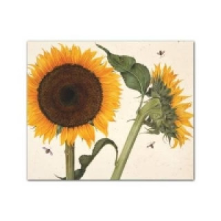 Printed items Botanicals QuickNotes Gertrude Hamilton