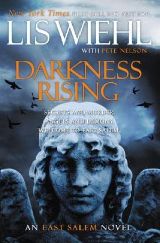 Kniha Darkness Rising Lis Wiehl